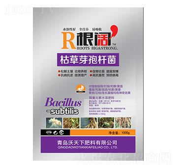 �ݲ�ѿ�ߗU��-���-��