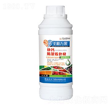 �a�}������ɫ��-ʥ���f