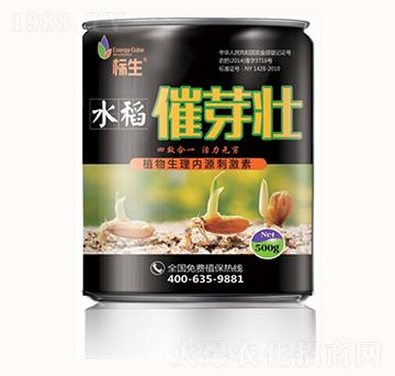 ˮ����ѿ��-���λ���