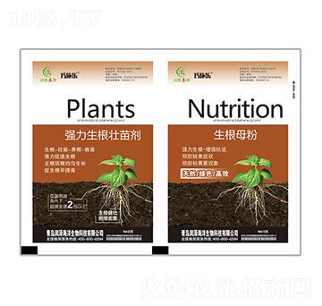 �����������焩+����ĸ��-ؐ������