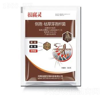 ��(c��)�ߡ��ݲ�ѿ�ߗU��-�����`-�ÌW(xu��)��