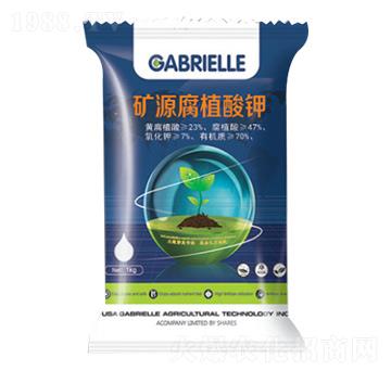 �VԴ��ֳ���-�����S