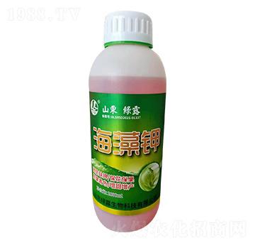 �����-�����S