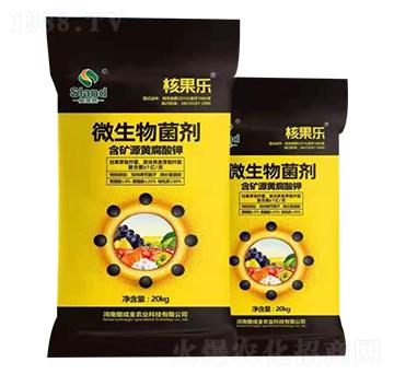 ΢������� �˹��� ���ɽ�