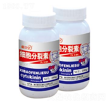 ��(x��)�������� 200g ֲ���� �R������