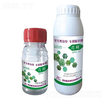 �������s�݌��ó��݄� 