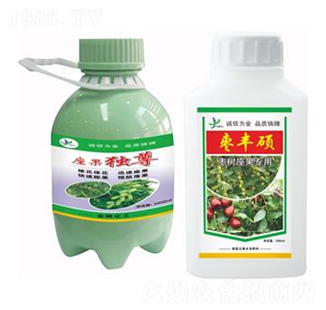 ������������ �������� ���S�T ���ƻ���