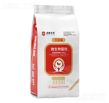 ΢������� ����� ʥ���S��