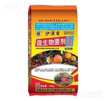 ������΢������� ɳĮ�� �w���w˾