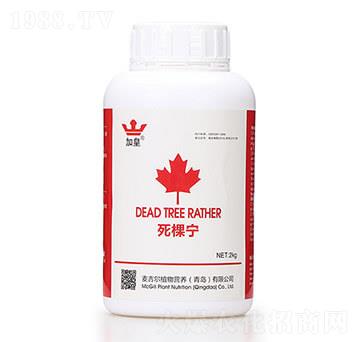 ���Ì����������ã� �G�ʼt��