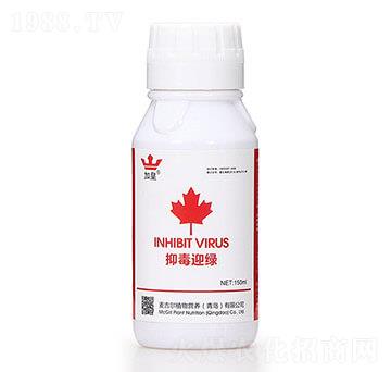 �ֶ�ӭ�G�����β������� �G�ʼt��