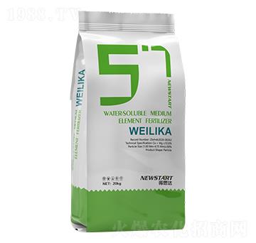 ΢���� �Z˼�_