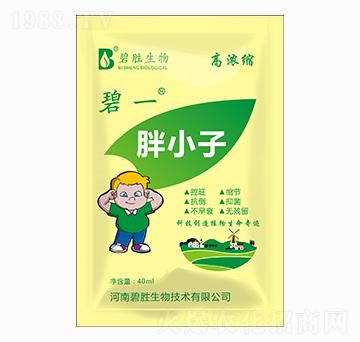 ��С�� ��һ �̄�����