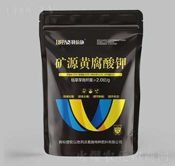 �VԴ�S�����-�հ�ʩ-����ʩ