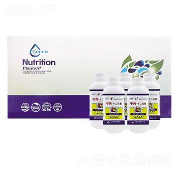 ��ˎ ��ʮ��Ԫ��-�W�����F(tu��n)