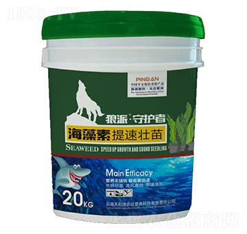 �����ء����ى���-���o(h��)��-����