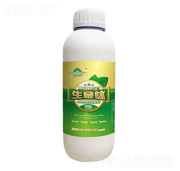 �����-�ü�-�V���ƈD