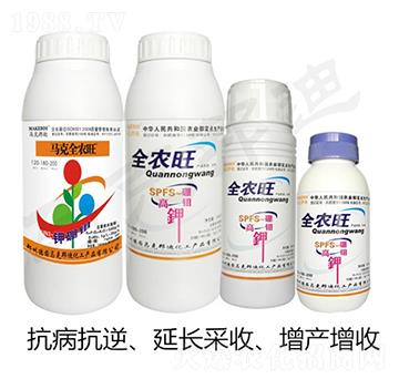 �R��ȫ�r��-�R�˰��