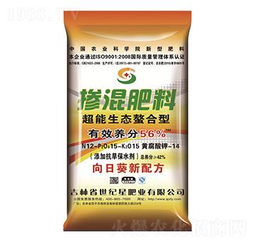 ���տ����Ó������12