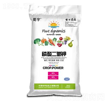 �������� ���� ���_(d��)����