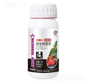 ƿ�b˪�߲�����΢�������-ʥ���r-��ʥ�r�I(y��)