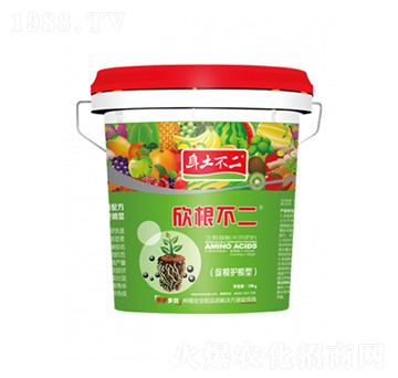 �������� �������� ��ľ������