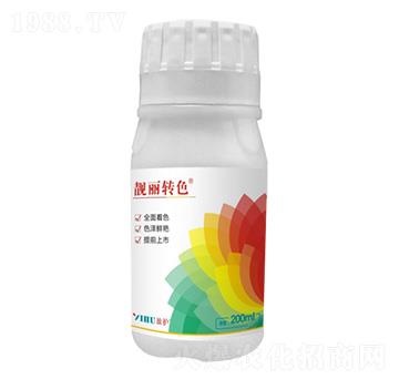 �n���Dɫ ��ӯ