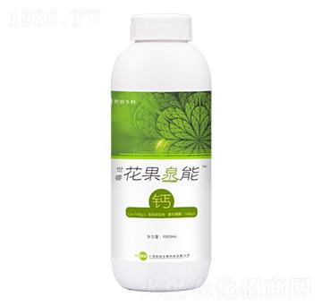 �����Ȫ���}-�����