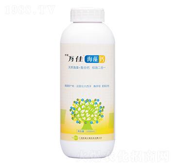 �����}-�f(w��n)��-�������