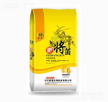 �����ЙC(j��)��-�ʌ���-�ǵ�