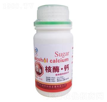 ��ø���}-�߿���