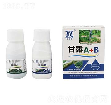 ����������-��¶A+B-�ۼ��S