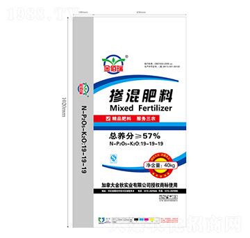 �������19-19-19-�����-�A������