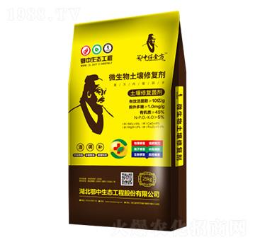 �����ޏ�(f��)����-Ǫ��-�������B(t��i)