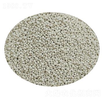 ��������-��׿����