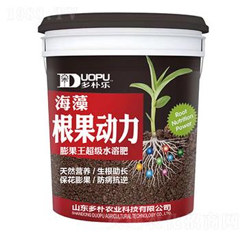 ������(d��ng)��-�����Ƽ�