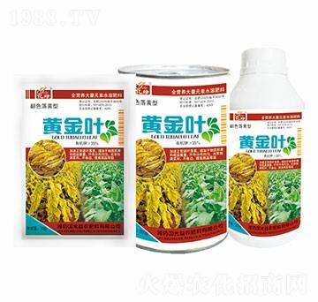 ��ɫ���S��-�S���~-��