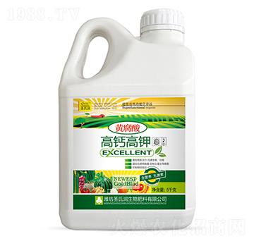 �S������}���ˮ�ܷ�-ʥ�ϝ�