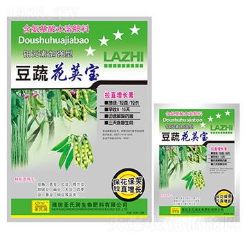 ���߻��v��-ʥ�ϝ�