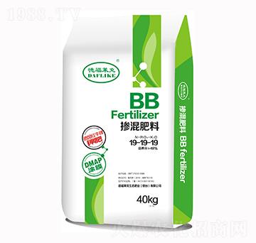 �������-19-19-