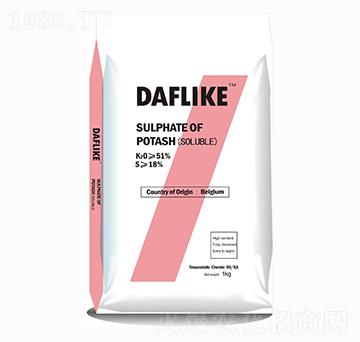 ���������-�¸��R��-����