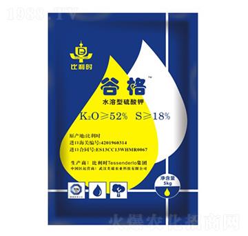 �����r�M�������-�ȸ�-�����r�I(y��)