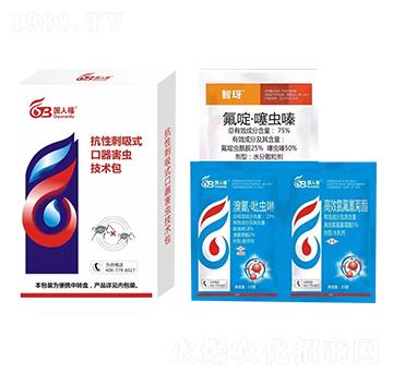 ���Դ���ʽ���x���g��-���˸�