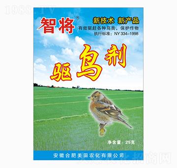 �(q��)�B��-�ǌ�-�����r(n��ng)�I(y��)