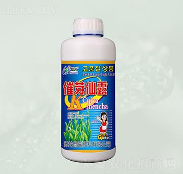 ��ѿ��¶�~���-���@����