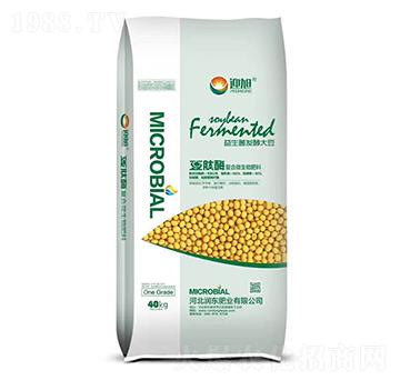 �������l(f��)�ʹ�-����ø-���|�ʘI(y��)