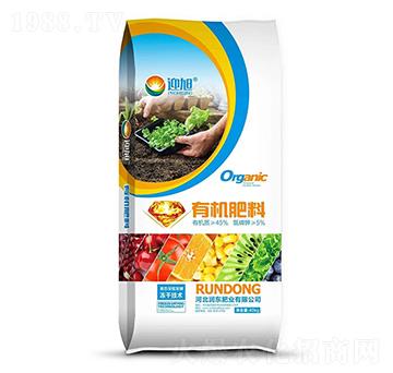 �ЙC(j��)����-ӭ��-��(r��n)�|�ʘI(y��)