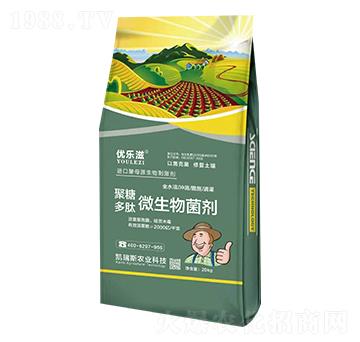 ���Ƕ���΢�������-��(y��u)