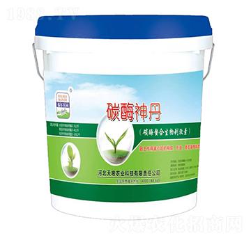 ̼ø��������̼���-̼ø��-�����f�@-��Z�r�I(y��)