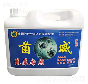 �������߲ˌ��ã�-��������